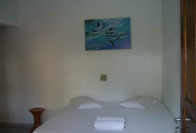 스탠다드 룸, Alaska