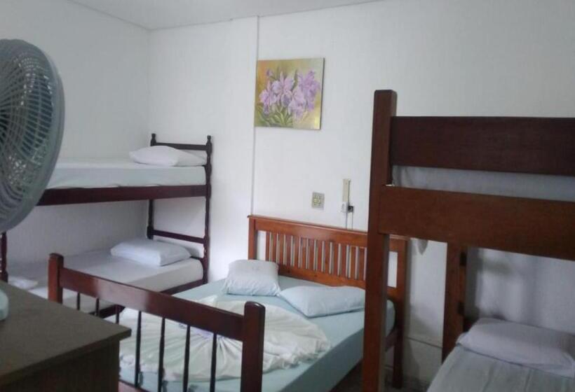 패밀리 룸, Alaska