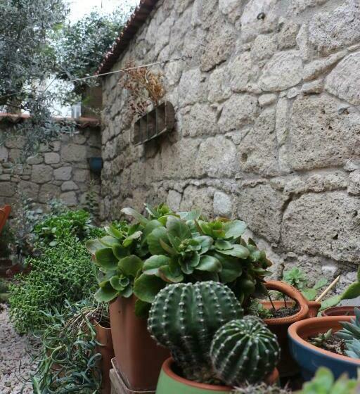 豪华房间, Lilyum Alaçatı Taş Ev