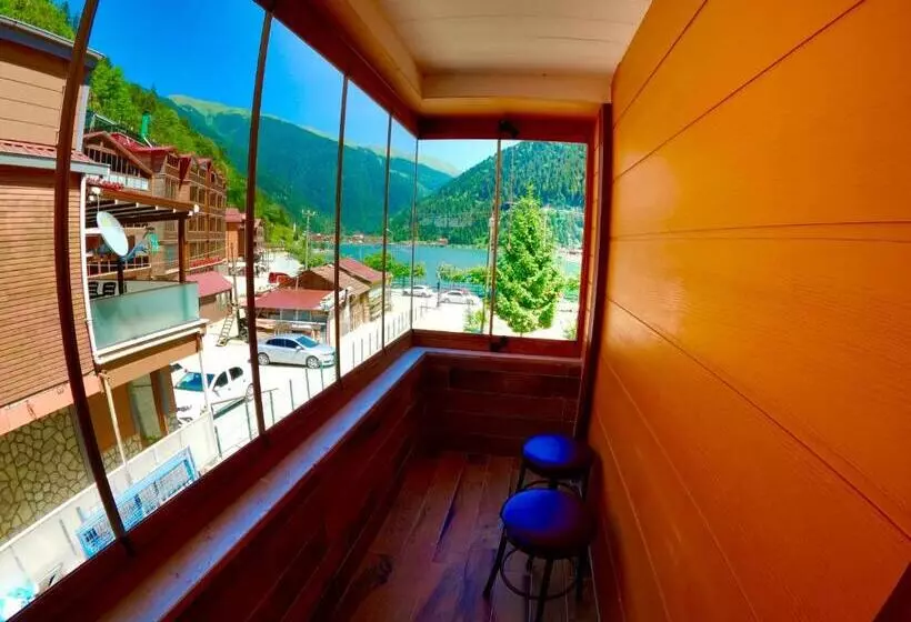 اتاق خانوادگی, Danis Motel