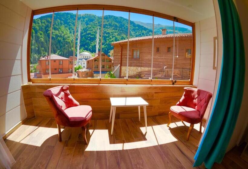 标准间带山景, Danis Motel