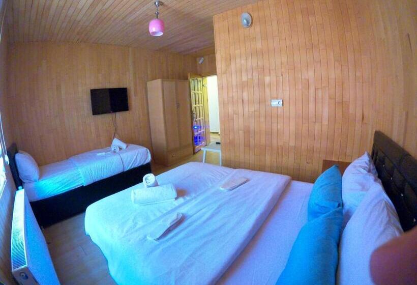 标准间, Danis Motel