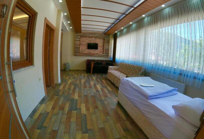 适合残疾人使用的标准间, Danis Motel