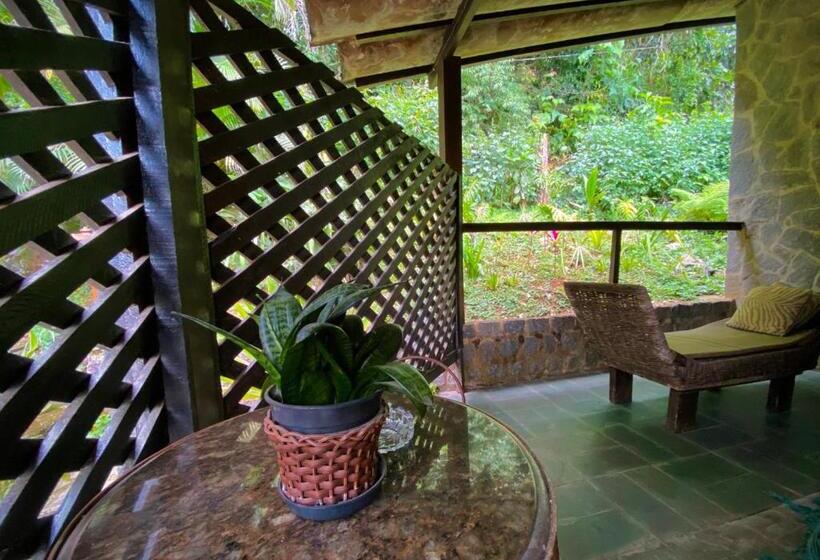 디럭스 룸, Da Cachoeira