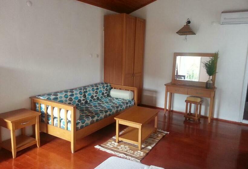 اتاق خانوادگی, Mila Pansiyon