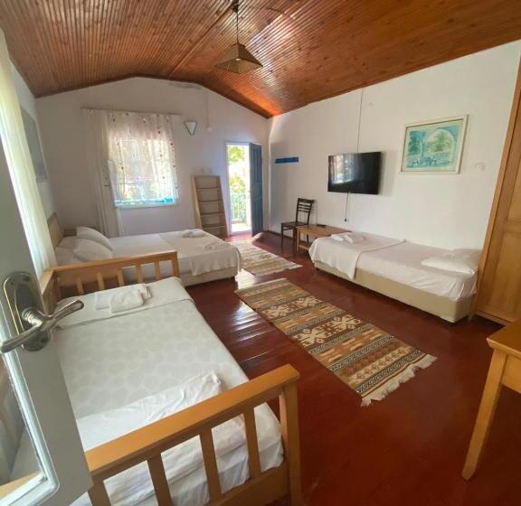 اتاق خانوادگی, Mila Pansiyon