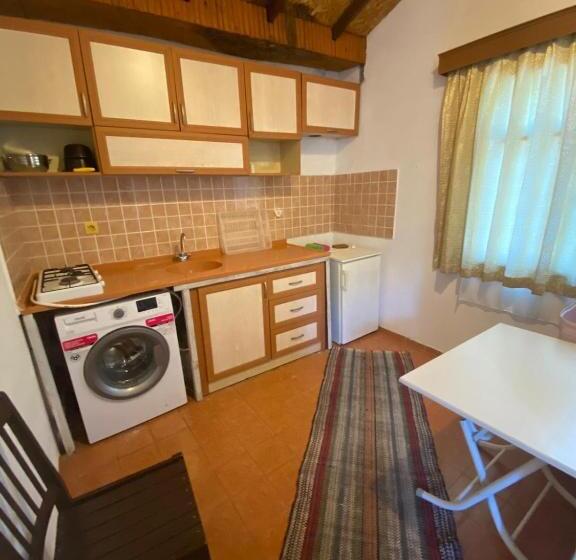 اتاق خانوادگی, Mila Pansiyon