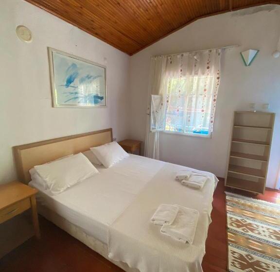 اتاق خانوادگی, Mila Pansiyon