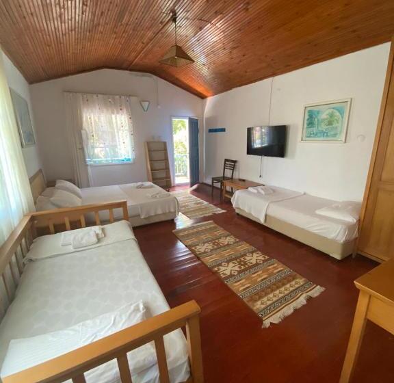 اتاق خانوادگی, Mila Pansiyon