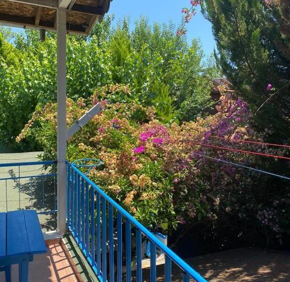 اتاق خانوادگی, Mila Pansiyon