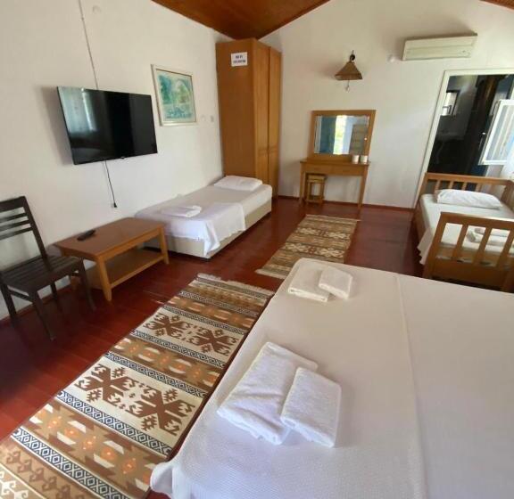 اتاق خانوادگی, Mila Pansiyon