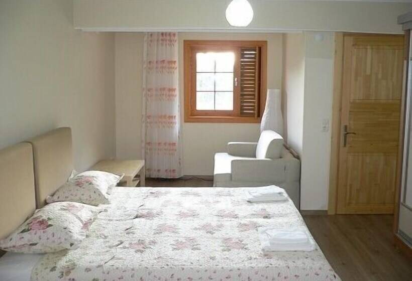 Номер Стандарт, Natureland Efes Pension