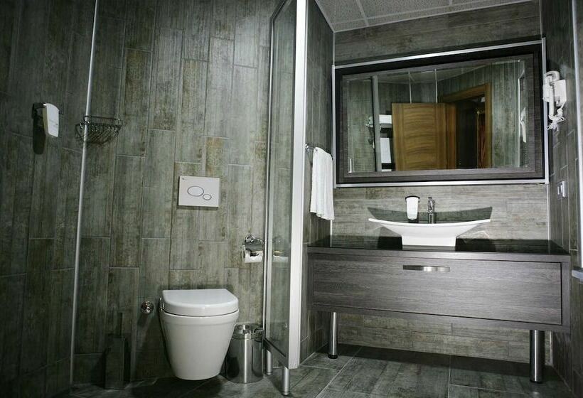 חדר סטנדרט, Rey Manes