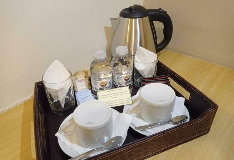 스탠다드 룸, Serra Negra Palace