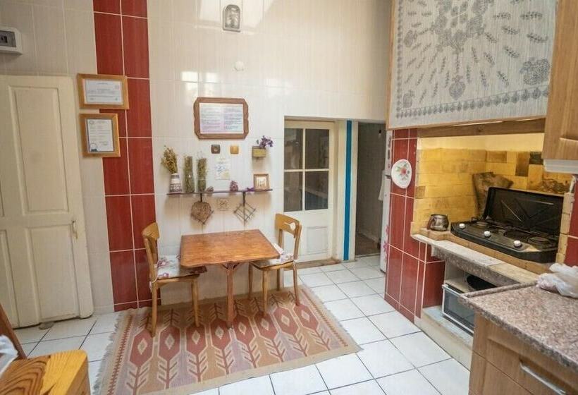 اتاق استاندارد با چشم‌انداز باغ, Lotus Garden Hostel Izmir