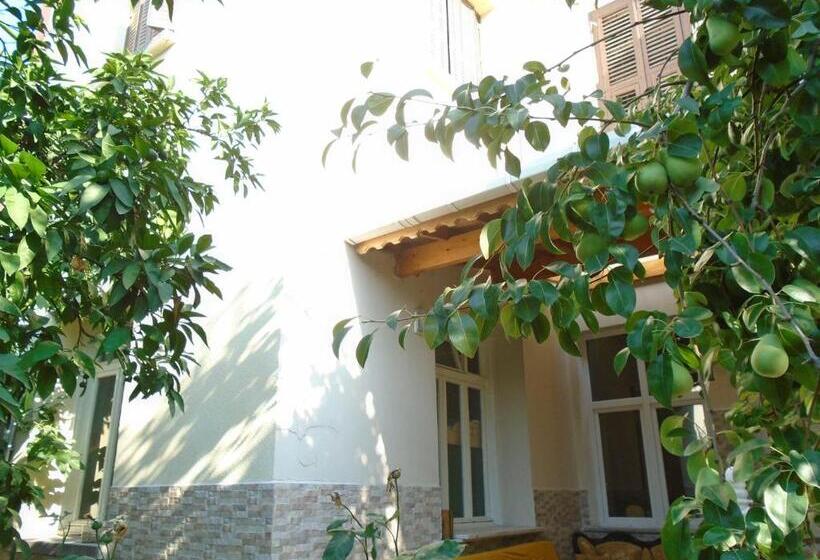 اتاق لوکس, Lotus Garden Hostel Izmir