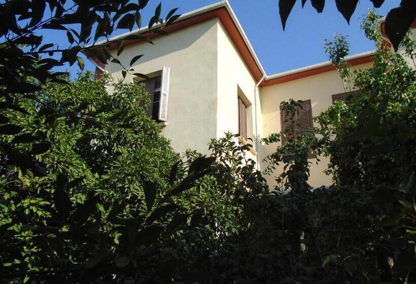 تختخواب در اتاق مشترک, Lotus Garden Hostel Izmir