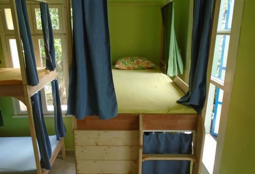 تختخواب در اتاق مشترک, Lotus Garden Hostel Izmir