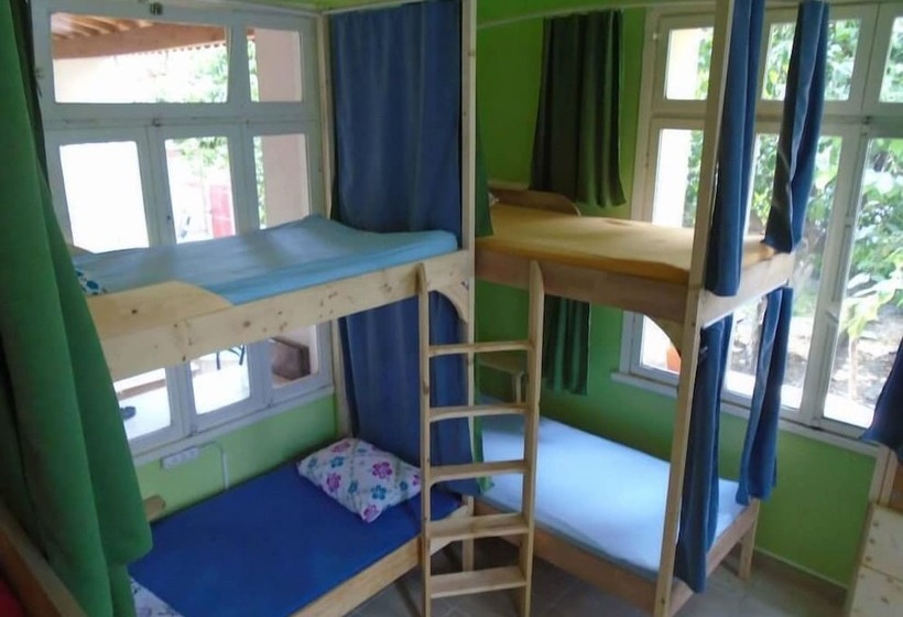 تختخواب در اتاق مشترک, Lotus Garden Hostel Izmir