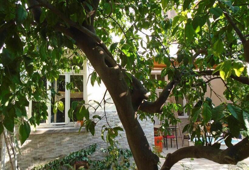 تختخواب در اتاق مشترک, Lotus Garden Hostel Izmir