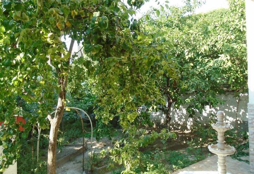 تختخواب در اتاق مشترک, Lotus Garden Hostel Izmir