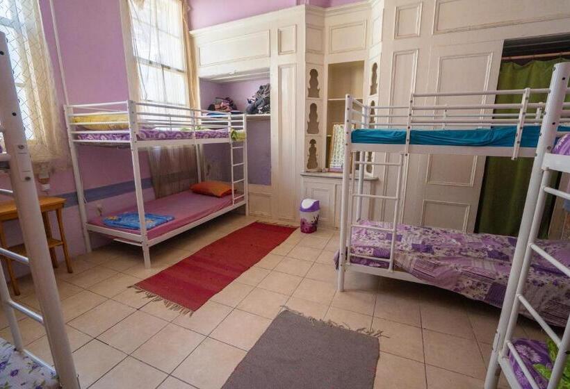 تختخواب در اتاق مشترک, Lotus Garden Hostel Izmir