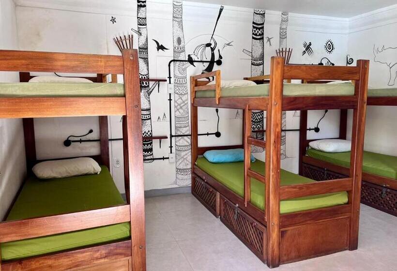 공동 객실, Na Casa 11   Pousada E Hostel