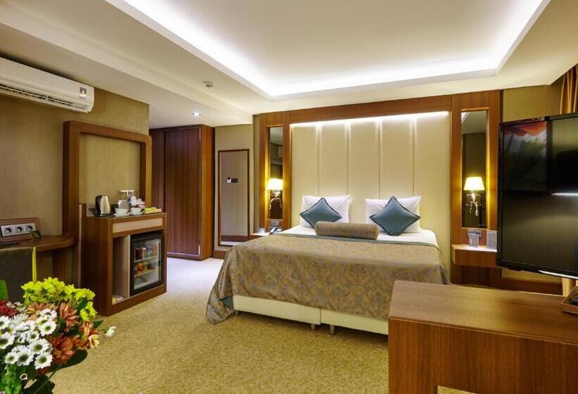 اتاق استاندارد, Sivas Buruciye Otel