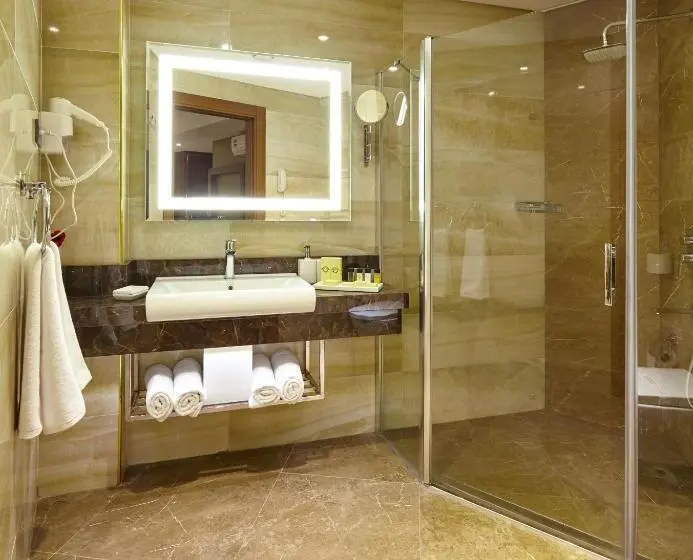 اتاق سوپریور, Sivas Buruciye Otel