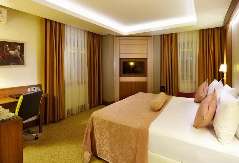 اتاق سوپریور, Sivas Buruciye Otel