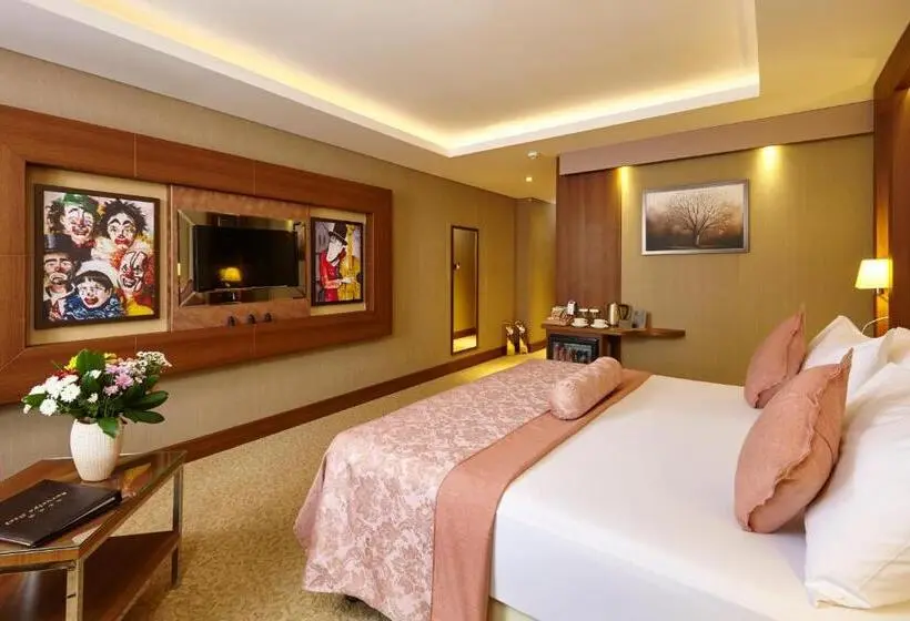 اتاق سوپریور, Sivas Buruciye Otel