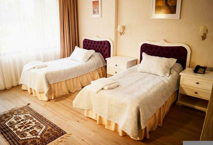 اتاق خانوادگی, Aeneas