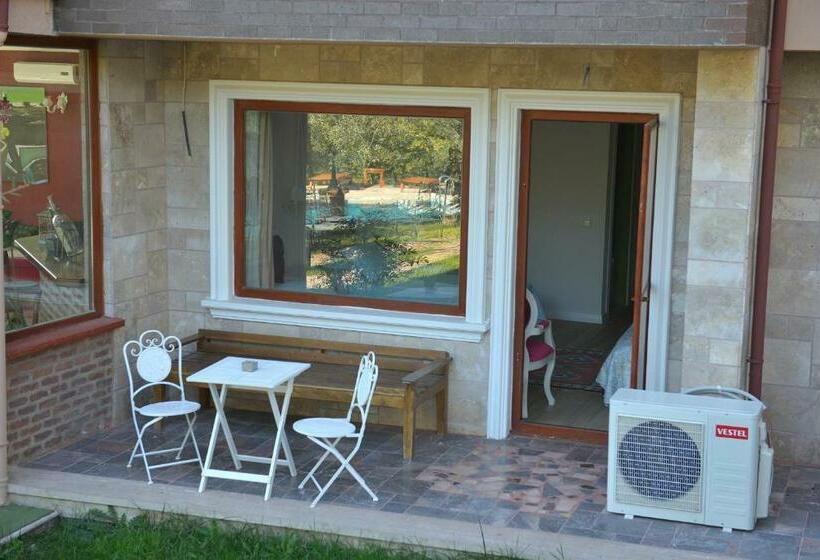 اتاق خانوادگی, Aeneas