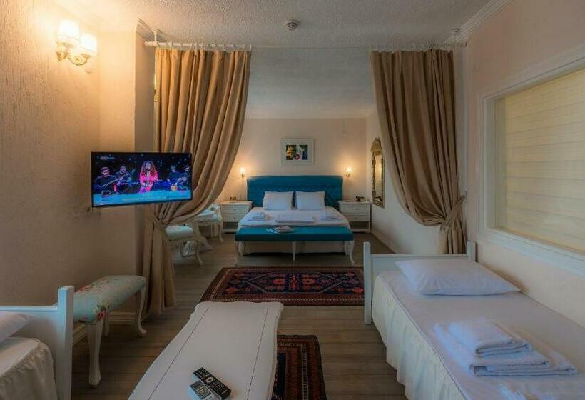 اتاق خانوادگی, Aeneas