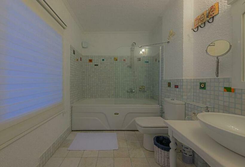 اتاق اکونومی, Aeneas