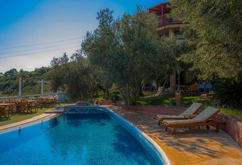 اتاق اکونومی, Aeneas