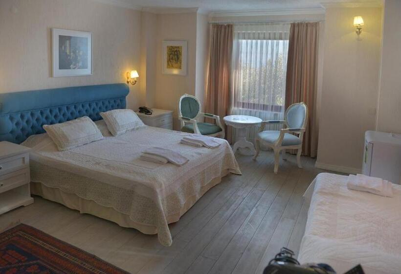 اتاق خانوادگی, Aeneas