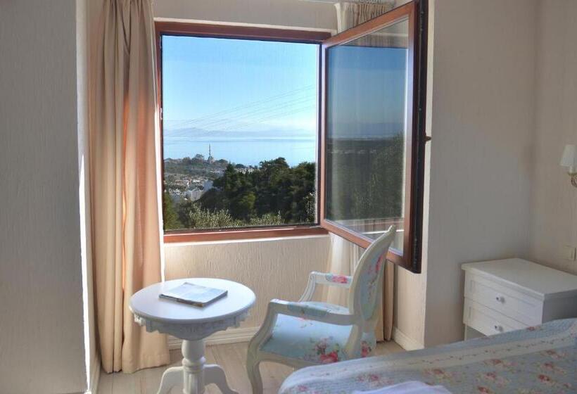 اتاق لوکس خانوادگی, Aeneas