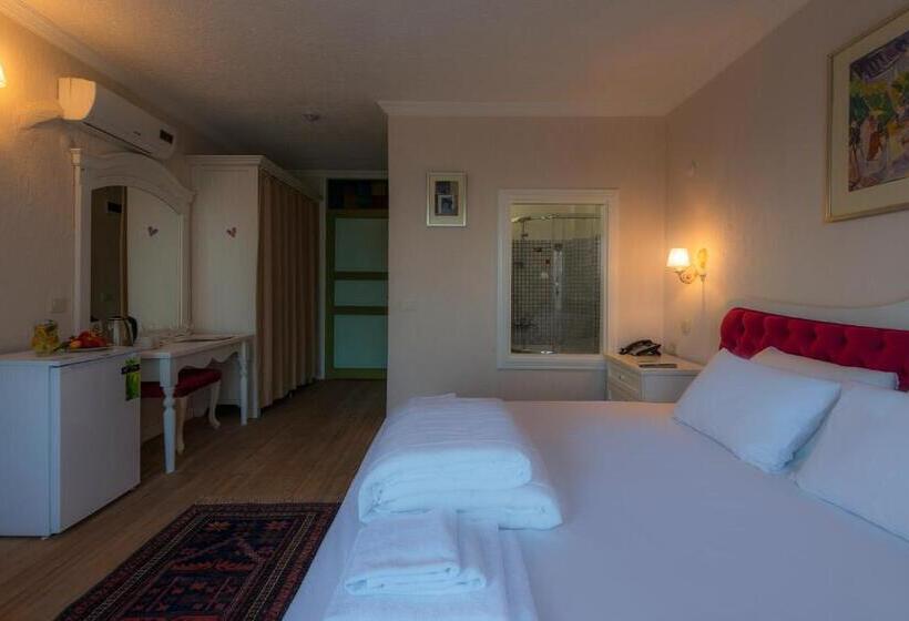 اتاق لوکس با چشمانداز باغ, Aeneas