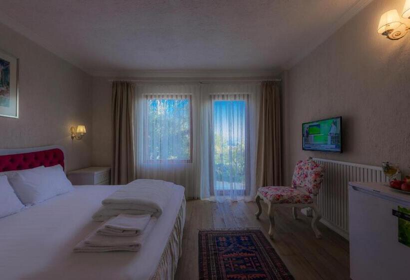 اتاق لوکس با چشمانداز باغ, Aeneas