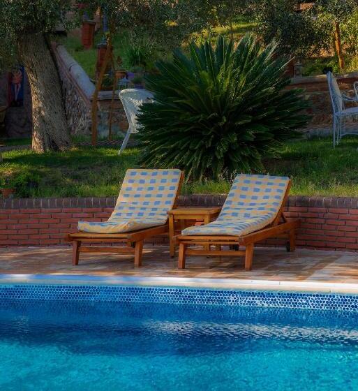 Deluxe Room Mountain View, Aeneas