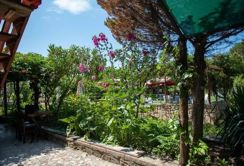 اتاق استاندارد سه تخته با چشمانداز باغ, Aral Tatil Ciftligi