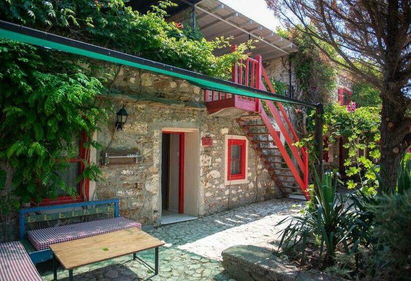 اتاق خانوادگی, Aral Tatil Ciftligi
