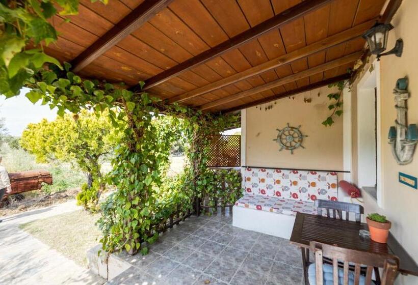 اتاق استاندارد با تراس, Aral Tatil Ciftligi