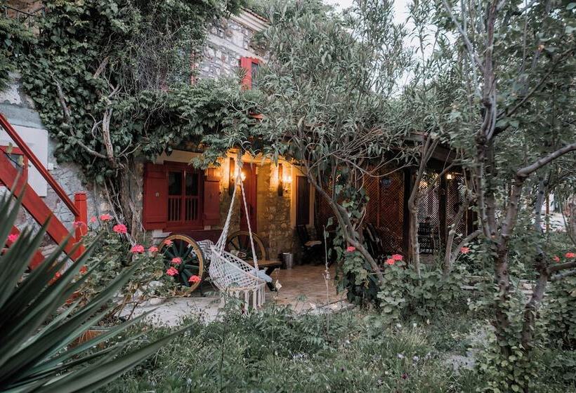 اتاق خانوادگی, Aral Tatil Ciftligi
