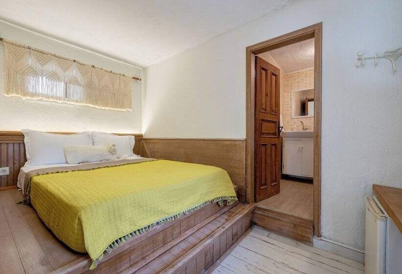 اتاق خانوادگی, Aral Tatil Ciftligi