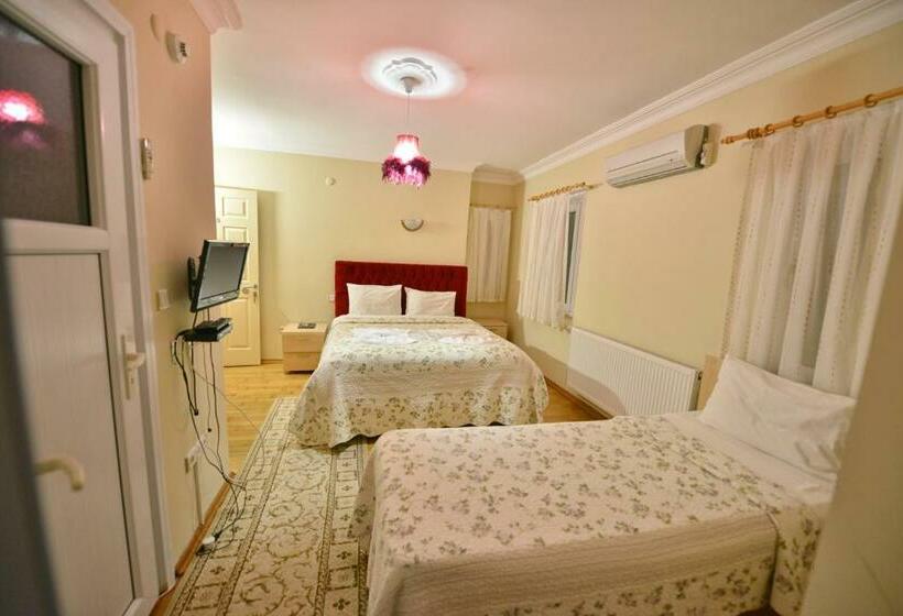 标准间带阳台, Assortie La Villa