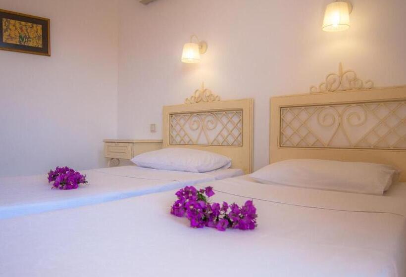 Standardzimmer, Begonvil