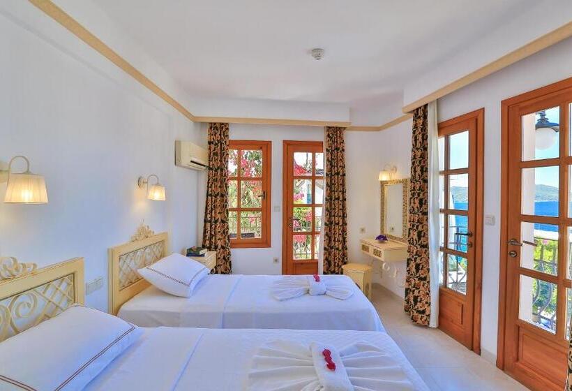 Standardzimmer, Begonvil