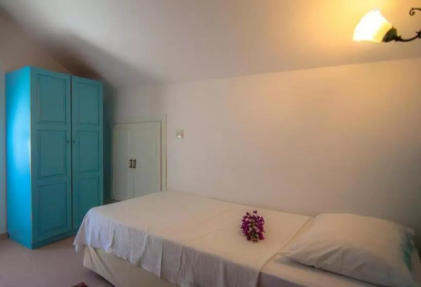 Suite, Begonvil